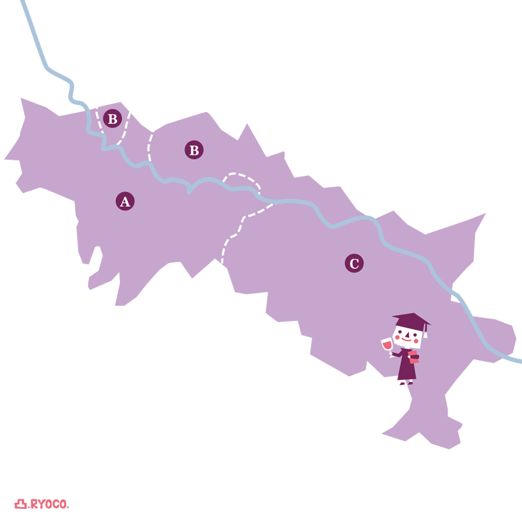 ワインソムリエ エキスパート試験対策 スペイン編 ワイン産地と特徴 しょうのブログ Wine Sta Hibino ワインステーション ヒビノ